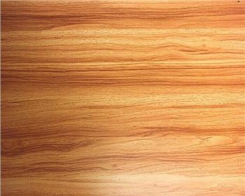 東北楊-西安生態板