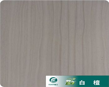 生態板到底有多生態？